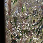 Il Casale דירה Onifai